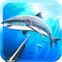 Spearfishing 3D