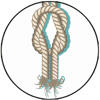 Basic Ropes and Knots Guide for Survival