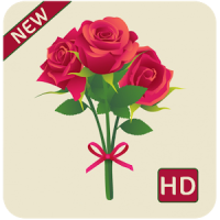 rose hd wallpapers 1080p