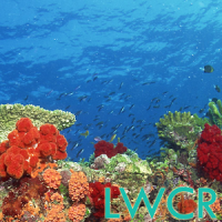 Unterwasser Korallenriff LWP