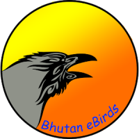 Bhutan eBirds
