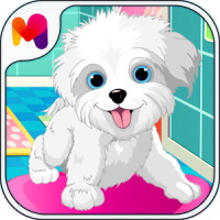 Puppy Pet Daycare - Pet Puppy salon For Caring