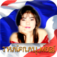 Thaifrau Dating