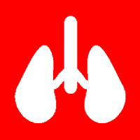 Lung Sound Trainer