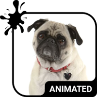 Cute Pug Animated Keyboard + Live Wallpaper