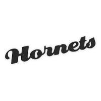Aspley Hornets