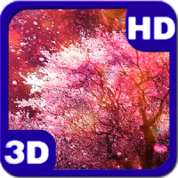 3D Cherry Blossoms Spring Free