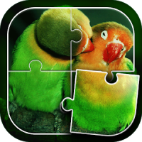Oiseaux Jeux de Puzzle