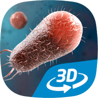 Bacteria interactive educational VR 3D