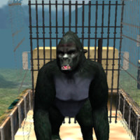 réal gorille simulateur
