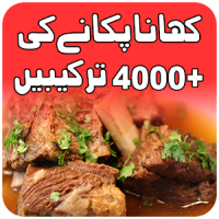 Pakistani food recipes