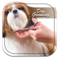 Dog Grooming Tips