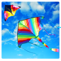 Basant The Kite Fight