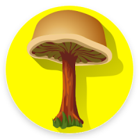 Mushroom identification App for free