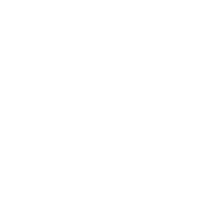 Brussels Summer League