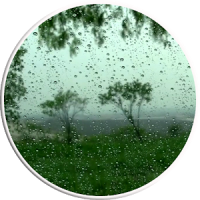 Rain Video Live Wallpaper