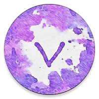 Vivid Icon Pack - ViviBurst