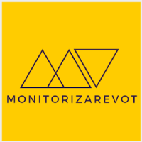 Vote Monitor