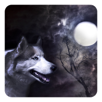 Lobo y luna Fondo Animado