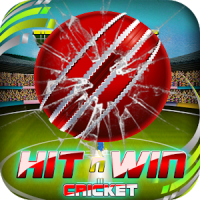 Hit N Win Cricket