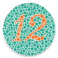 Colour Blindness Test