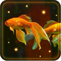Aquarium Gold Fishes LWP