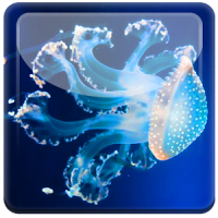 Sea Jellyfish Underwater LWP