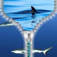 pantalla de bloqueo de tiburón