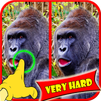 Find Difference Monkey Games