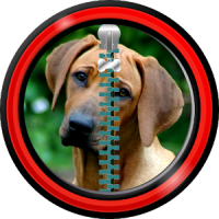 Zipper Lock Screen – Dogs