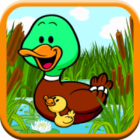 Duck Throw Game: Kids