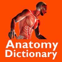 Anatomy Dictionary