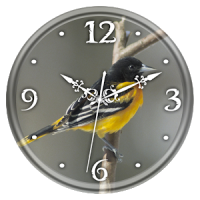 Northern Oriole Clock Live WP
