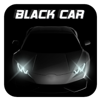 Black Fast Car