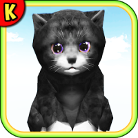 KittyZ Cat