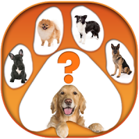 What Dog are You Test App
