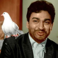 Rajkumar songs