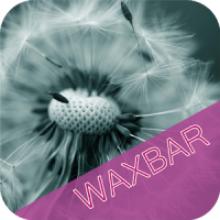 Позитивная депиляция WAXBAR