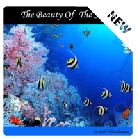 The Beauty Of The Seabed