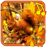 Autumn Squirrels live wallpaper