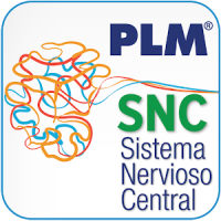 PLM SNC Sudamérica