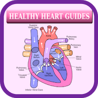 Healthy Heart Guides