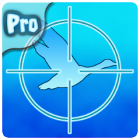 Duck Hunter Game - Pro