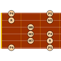 DG Guitar Scales