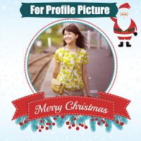 Christmas profile photo frames