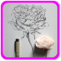 How to draw flowers