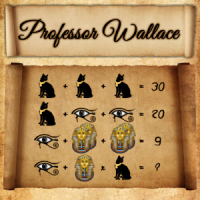 Professor Wallace - Puzzle