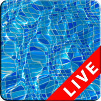 Swimming Pool Live Wallpaper