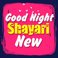 Good Night Shayari New