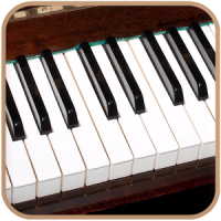 Órgano teclado 2019